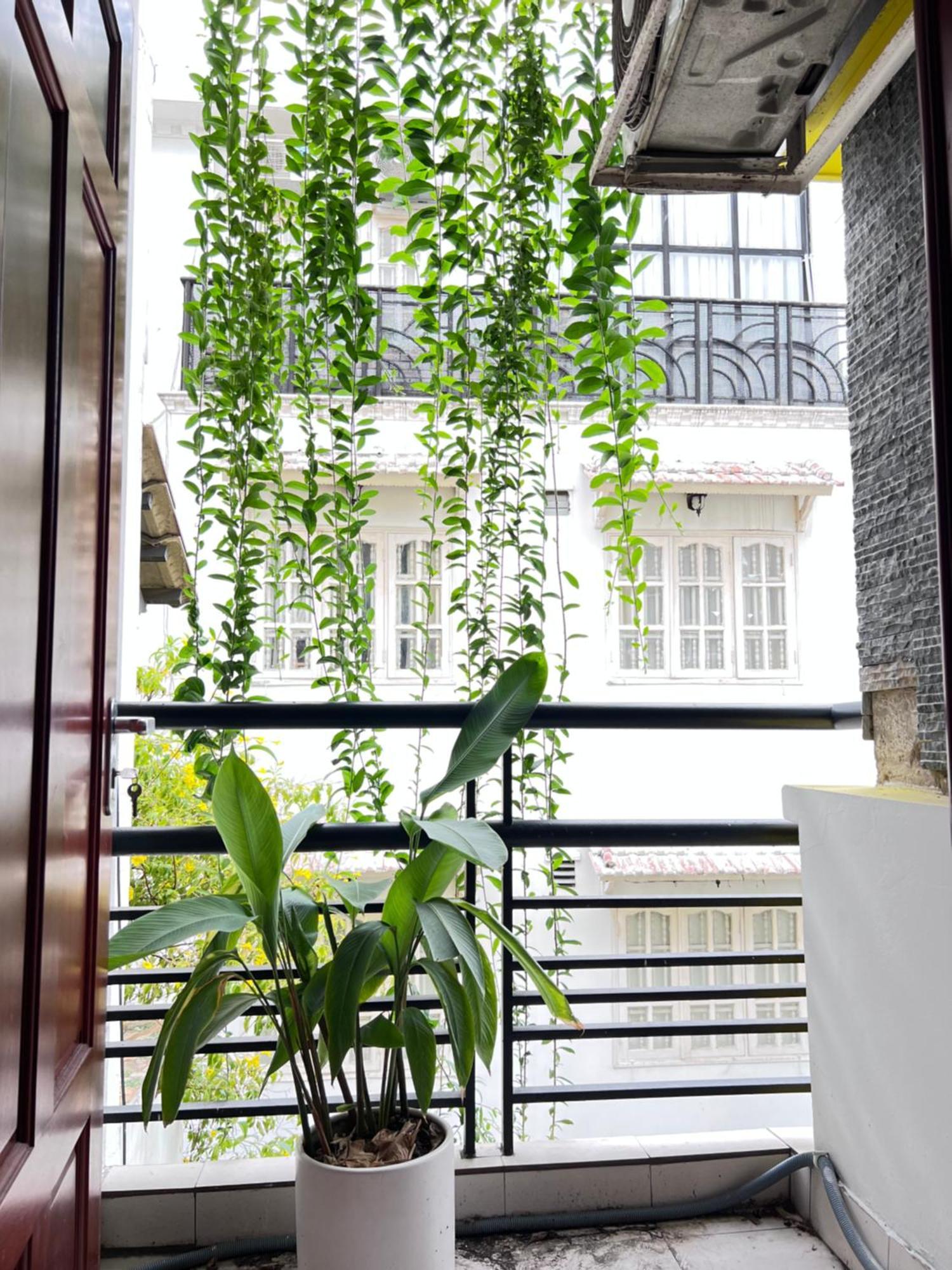Co Homestay Saigon Ho Chi Minh City Exterior photo
